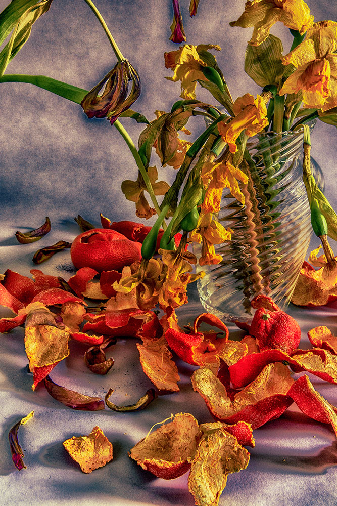 still life