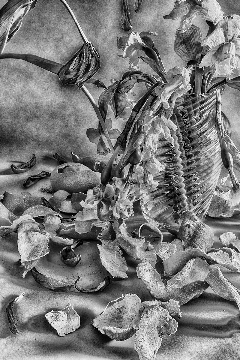still life