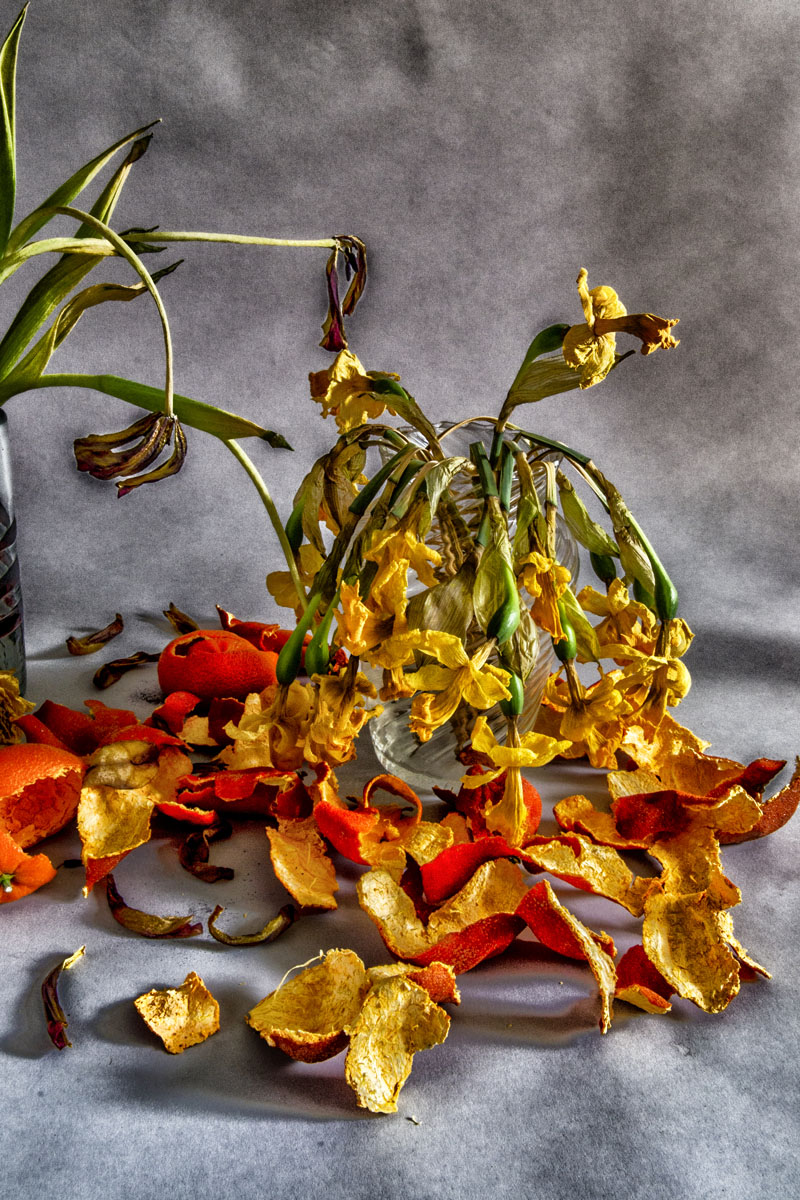 still life