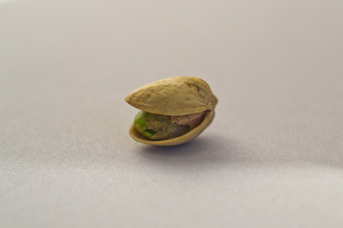pistachio