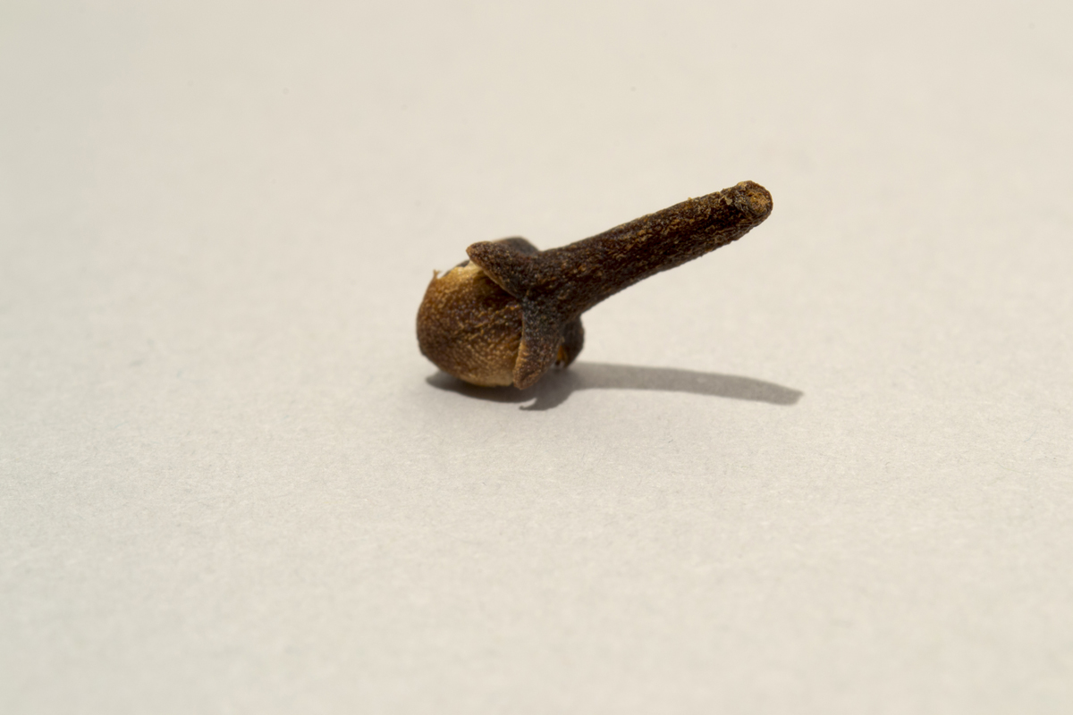 clove