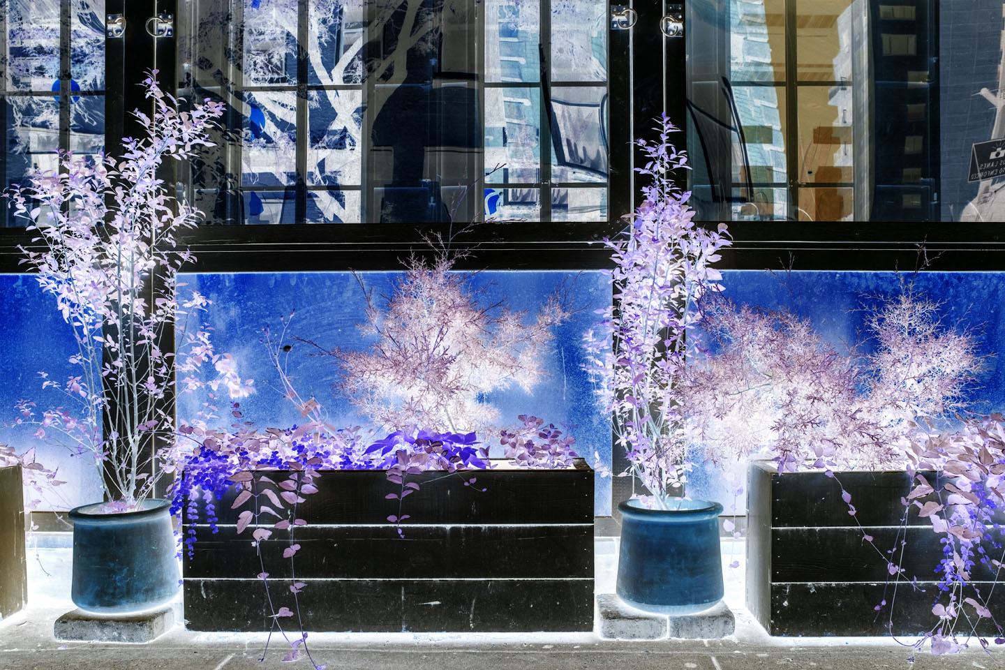 trees