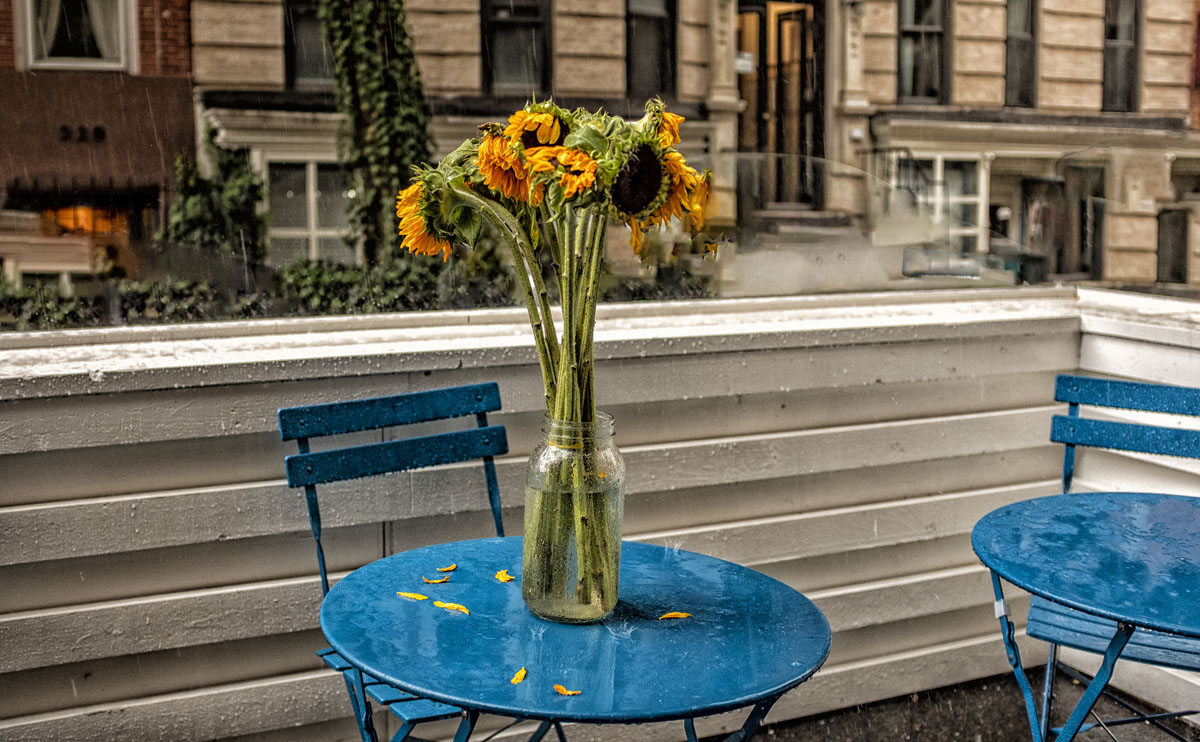 flowers