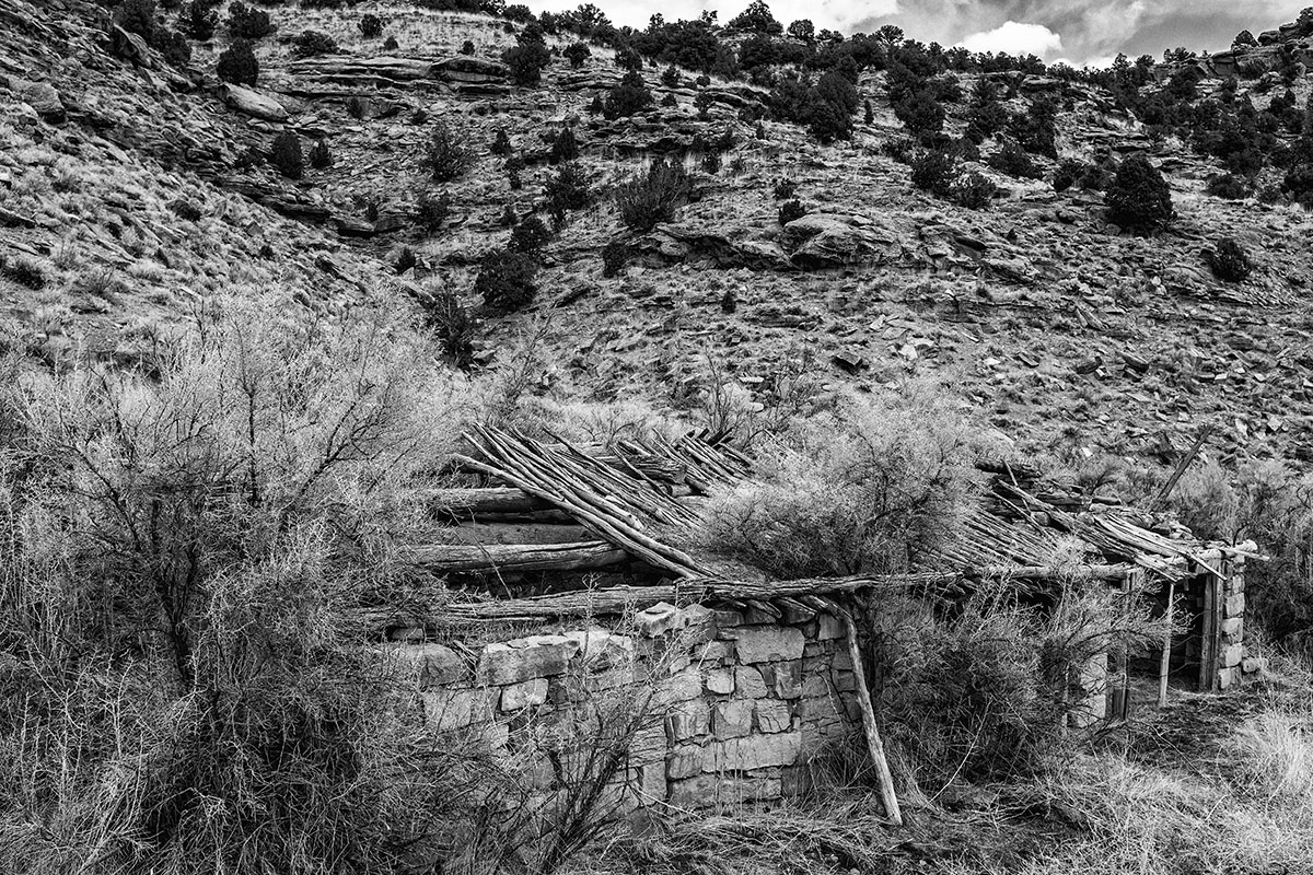 dwellings