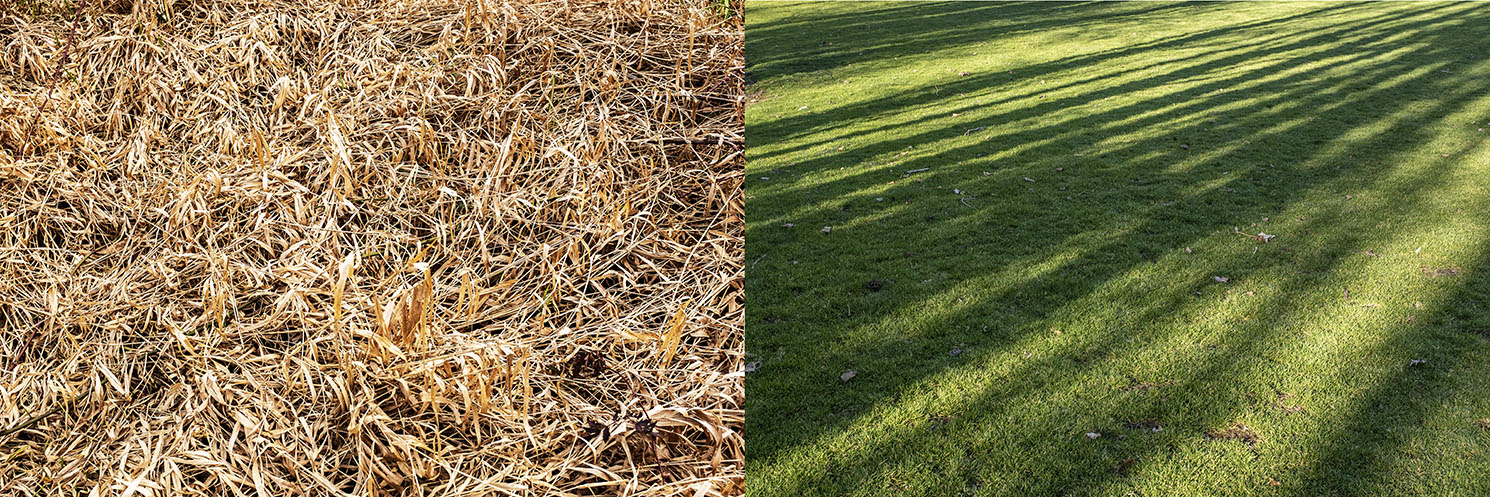 diptych