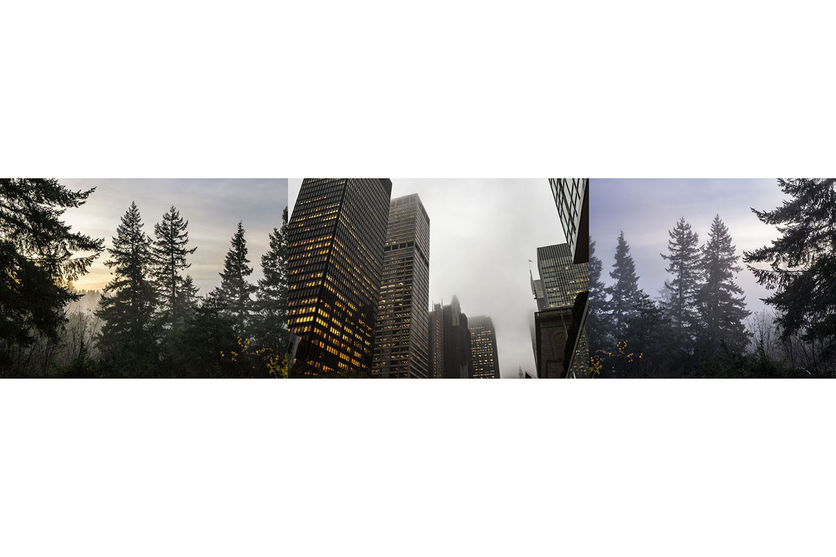cityscape