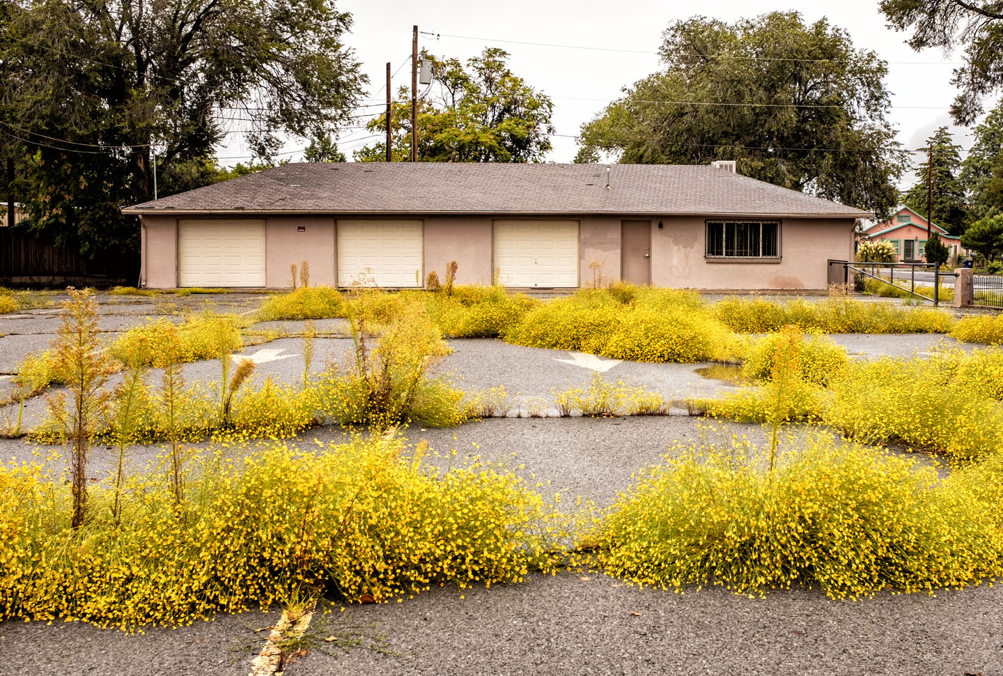 garden city