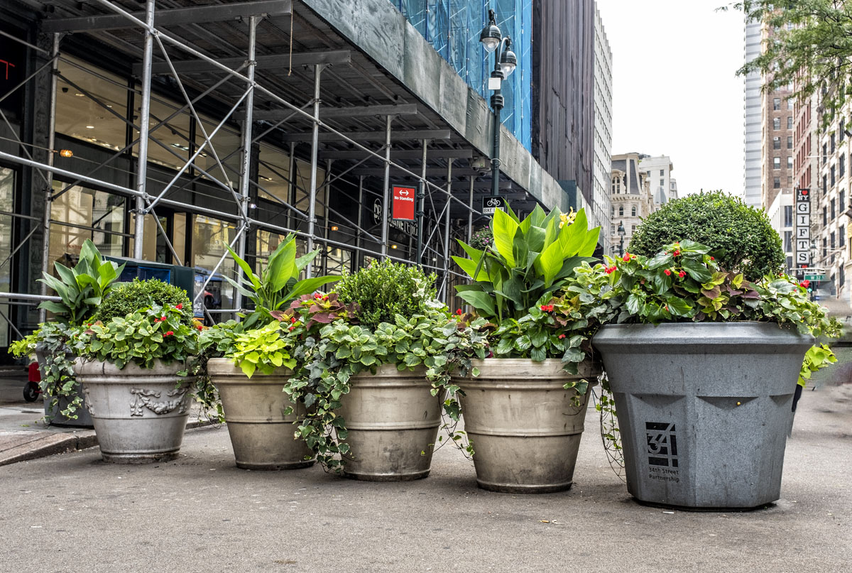 urban landscape