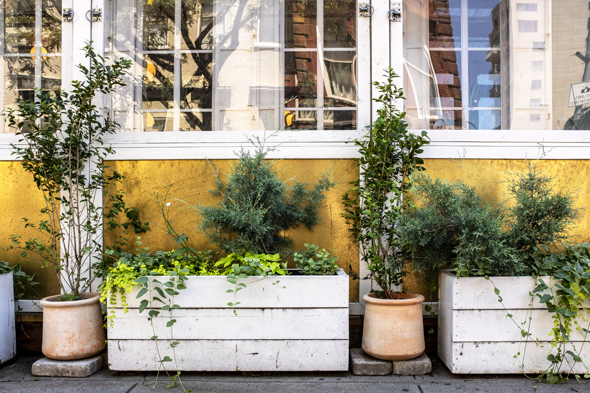 urban landscape