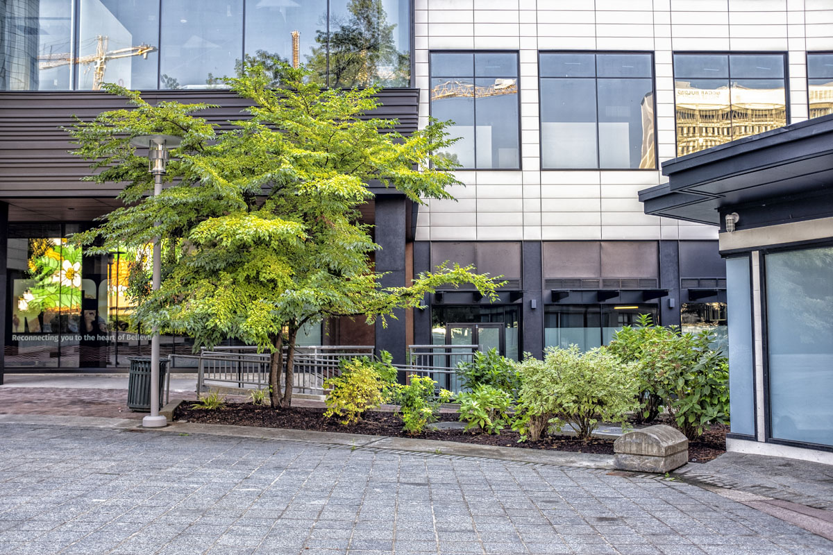 urban landscape
