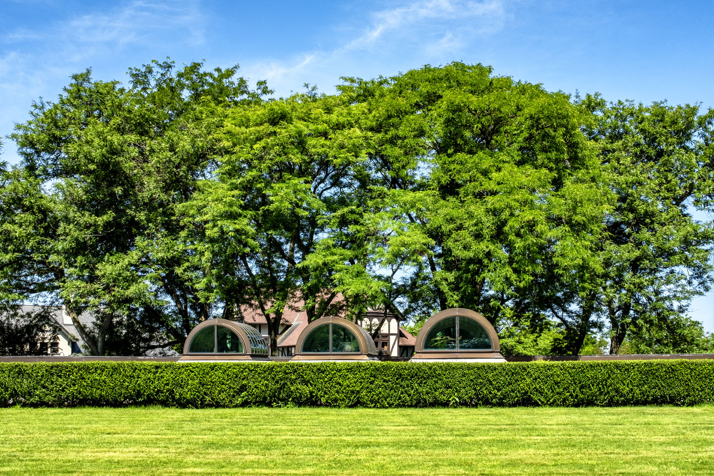 urban landscape