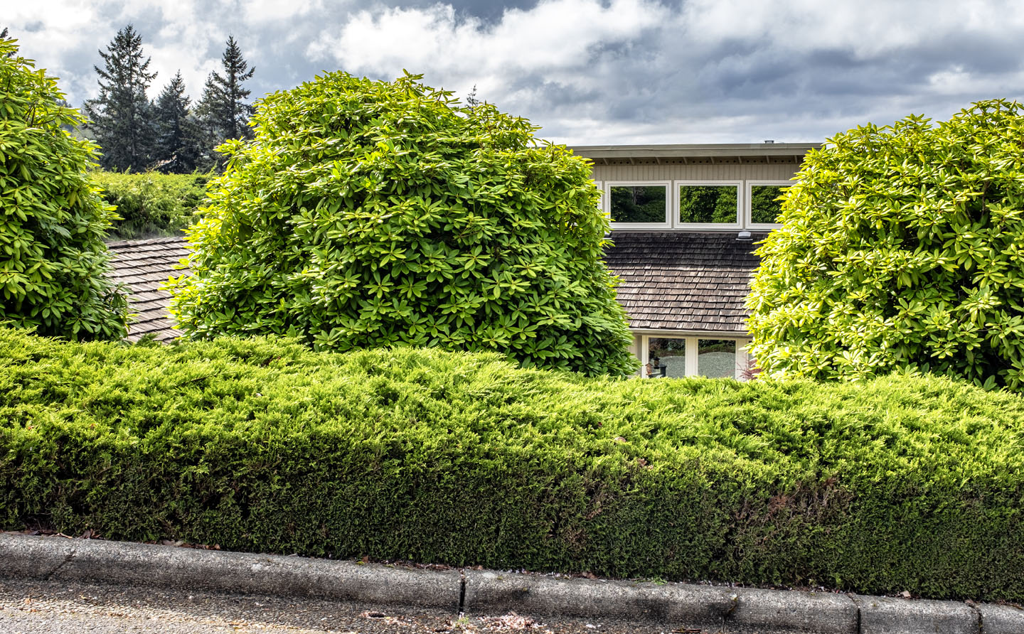 urban landscape