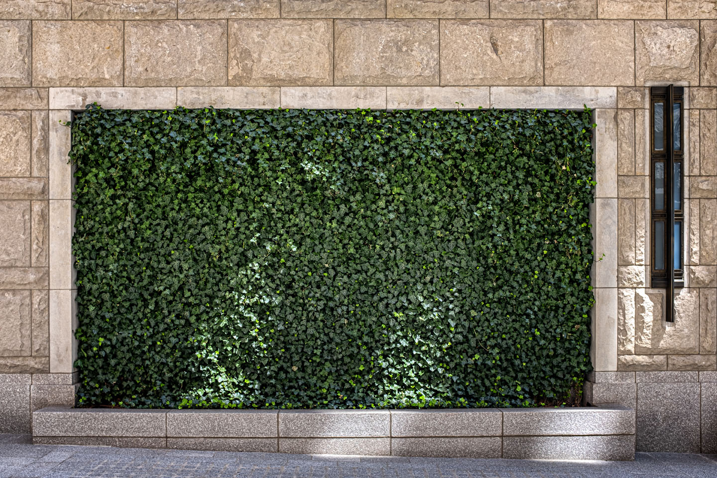 urban landscape