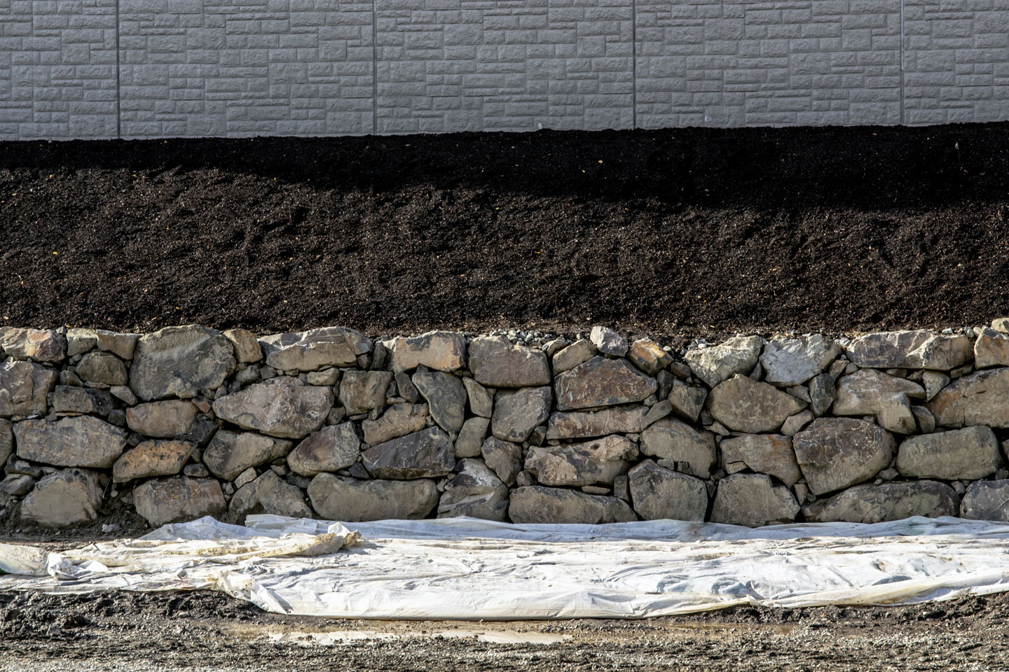 earthart